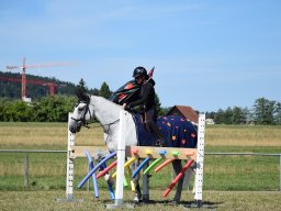 Pferdesporttage 2026 Sonntag
