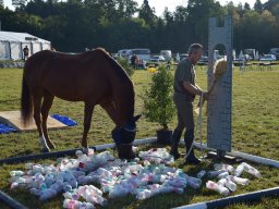 Pferdesporttage Berg SO