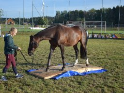 Pferdesporttage Berg SO