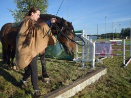 Pferdesporttage Berg SO