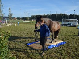 Pferdesporttage Berg SO