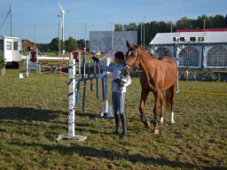 Pferdesporttage Berg SO