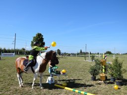 Pferdesporttage Berg SO