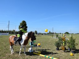 Pferdesporttage Berg SO