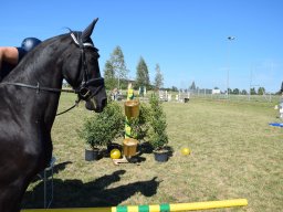 Pferdesporttage Berg SO