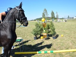 Pferdesporttage Berg SO